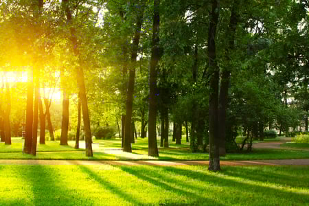 Building a Brighter Future: Our Commitment to Reducing Environmental Impact